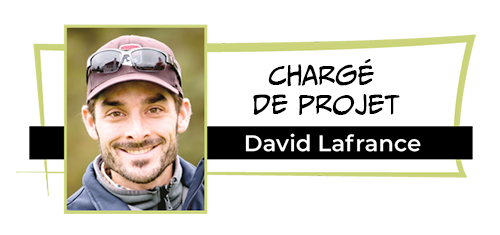 organigramme_2020_david-new