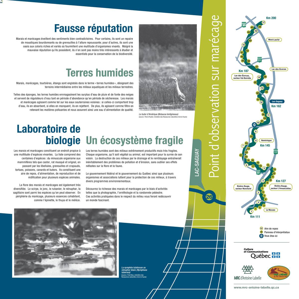 LSA1-page-001-1