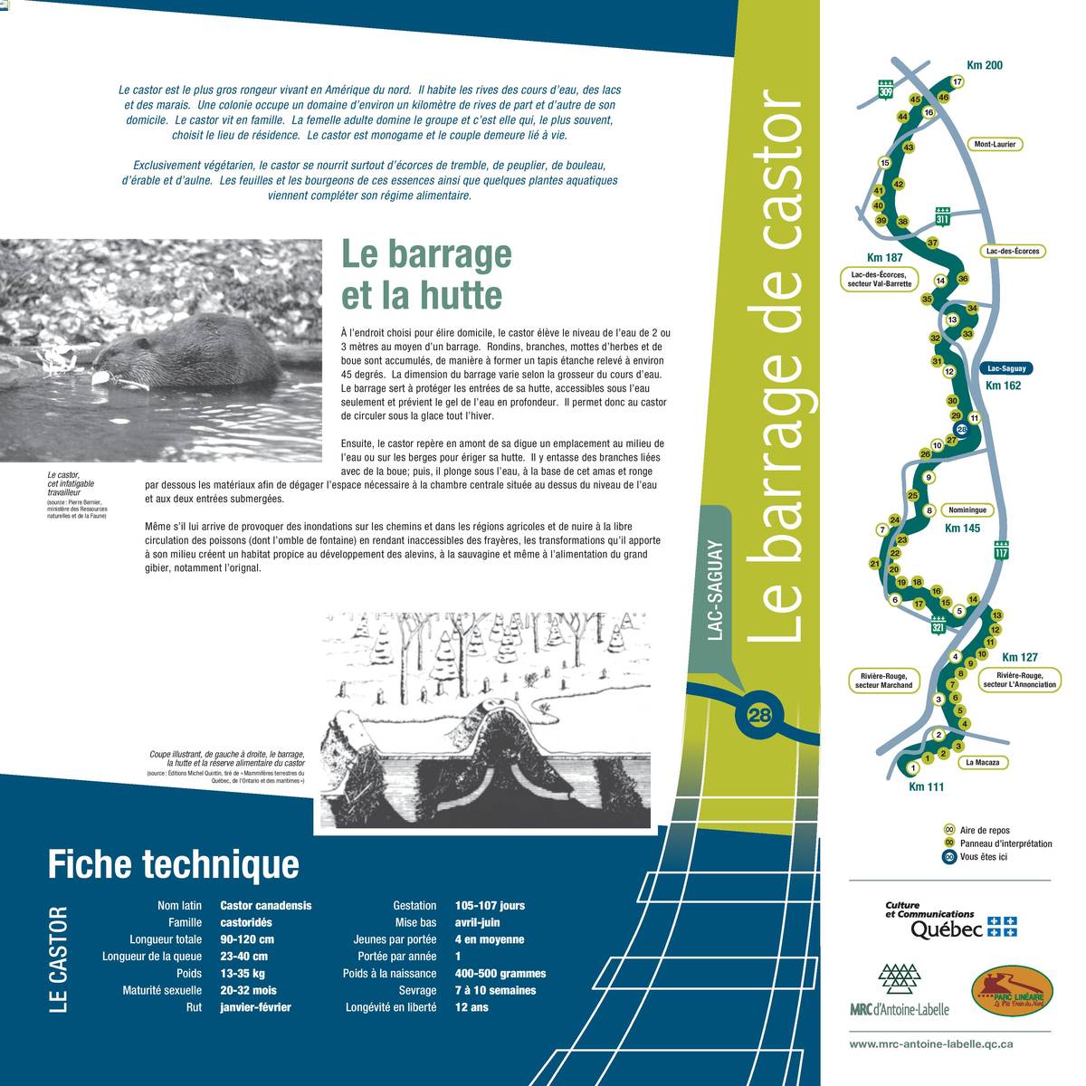 LSA3-page-001-1
