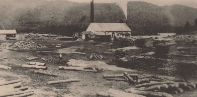 Campeau Station