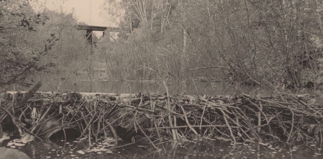 Le ruisseau Villemaire