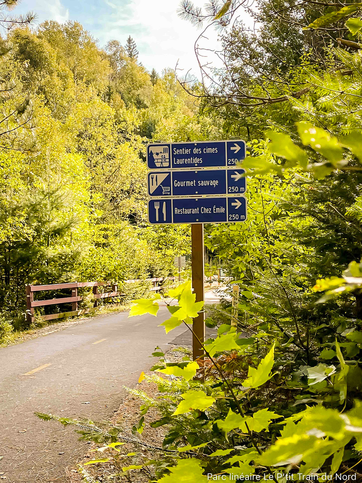 Ptit Train du Nord Partenaires commerciaux