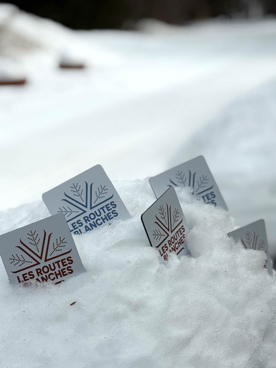 Les routes blanches du P'tit Train du Nord