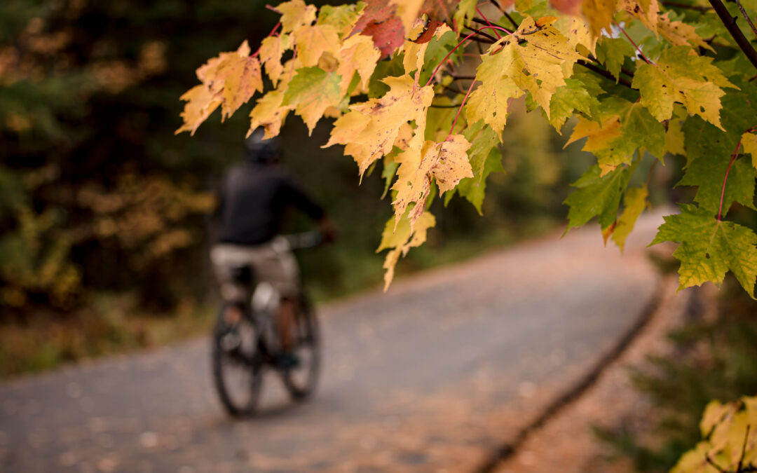 Escapade d&rsquo;automne sur le P&rsquo;tit Train du Nord